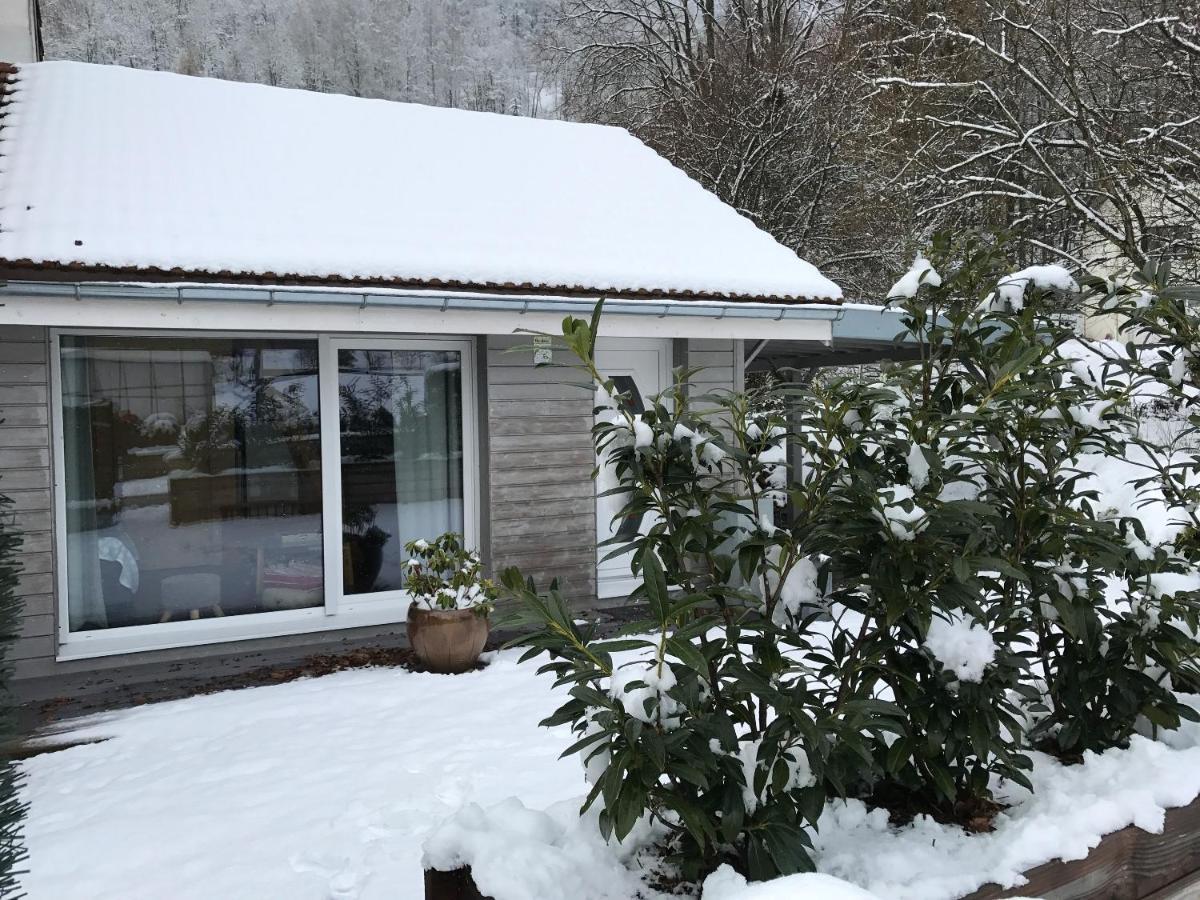 Studio A Le Menil Avec Magnifique Vue Sur La Montagne Jardin Amenage Et Wifi A 4 Km De La Plage Appartement Buitenkant foto