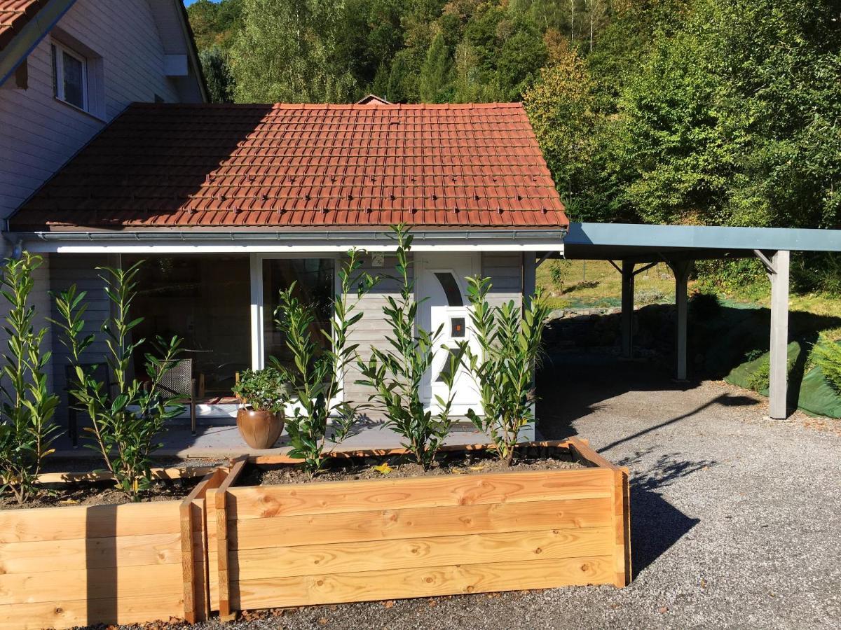 Studio A Le Menil Avec Magnifique Vue Sur La Montagne Jardin Amenage Et Wifi A 4 Km De La Plage Appartement Buitenkant foto